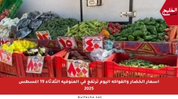 أسعار الخضار والفواكه اليوم ترتفع في المنوفية الثلاثاء 19 أغسطس 2025